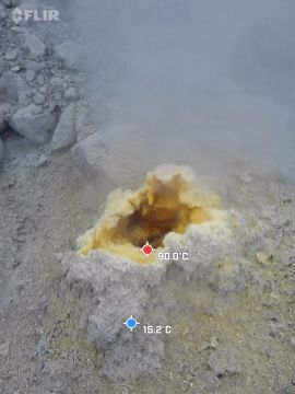 地獄谷噴気孔のサーモグラフィ映像